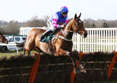 Paddy Power Nov Hurdle