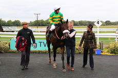 Colliers International Handicap Chase.