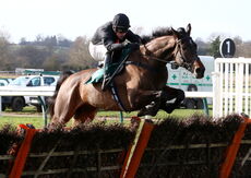 Paddy Power Nov Hurdle