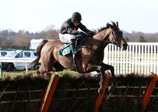 Benny's Oscar (Harry Skelton)