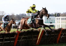 Lecale's Article (Nico de Boinville)