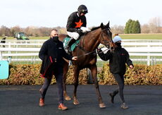 Paddy Power Nov Hurdle