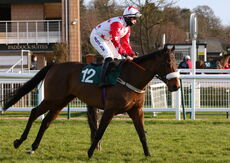 Paddy Rewards Club H'cap Hurdle.