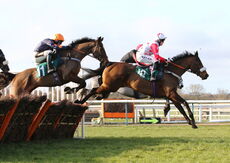 Paddy Rewards Club H'cap Hurdle.