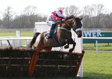 Paddy Rewards Club H'cap Hurdle.