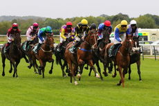 Racing TV NH Flat Race