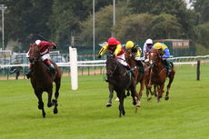 Racing TV NH Flat Race