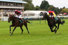 Racing TV NH Flat Race