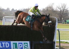 Agetur UK Kingmaker Nov Chase.