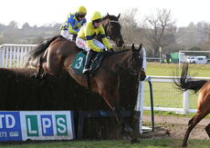 Agetur UK Kingmaker Nov Chase.