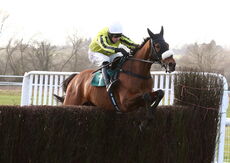 Agetur UK Kingmaker Nov Chase.