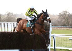 Allmankind (Harry Skelton)