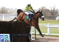 Allmankind (Harry Skelton)