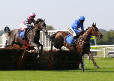 Wigley Group Nov Hurdle