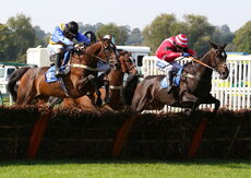 Wigley Group Nov Hurdle