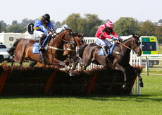 Wigley Group Nov Hurdle