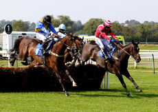 Wigley Group Nov Hurdle