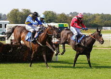 Wigley Group Nov Hurdle