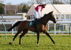 St Marys Land Warwick Mares' Hurdle.