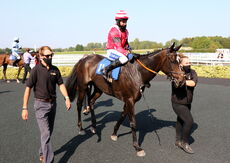 Wigley Group Nov Hurdle
