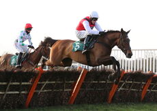 St Marys Land Warwick Mares' Hurdle.