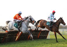 St Marys Land Warwick Mares' Hurdle.