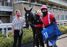 Wigley Group Nov Hurdle