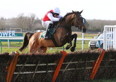 St Marys Land Warwick Mares' Hurdle.