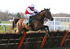 Molly Ollys Wishes (Harry Skelton)