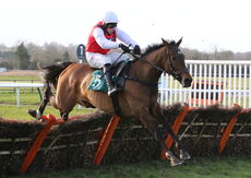 Molly Ollys Wishes (Harry Skelton)