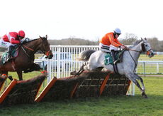 St Marys Land Warwick Mares' Hurdle.
