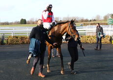 St Marys Land Warwick Mares' Hurdle.