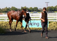 Racing TV Novices' H'cap Chase