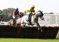 Biffa Waste Services Nov H'cap Hurdle (Div 1)