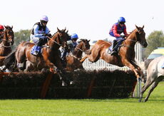Biffa Waste Services Nov H'cap Hurdle (Div 1)