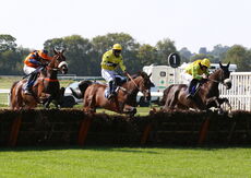 Biffa Waste Services Nov H'cap Hurdle (Div 1)