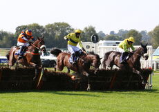 Biffa Waste Services Nov H'cap Hurdle (Div 1)