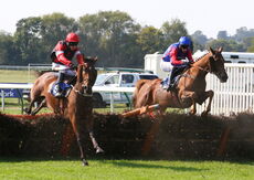 Biffa Waste Services Nov H'cap Hurdle (Div 1)