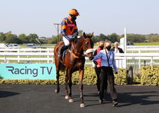 Biffa Waste Services Nov H'cap Hurdle (Div 1)