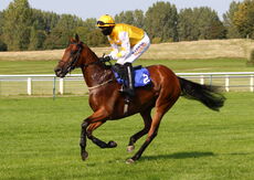 Biffa Waste Services Nov H'cap Hurdle (Div 2)