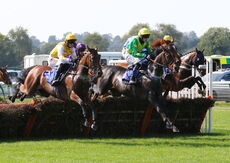 Biffa Waste Services Nov H'cap Hurdle (Div 2)