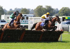 Biffa Waste Services Nov H'cap Hurdle (Div 2)