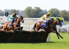 Biffa Waste Services Nov H'cap Hurdle (Div 2)