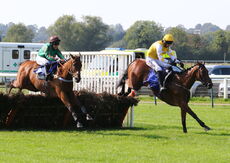 Biffa Waste Services Nov H'cap Hurdle (Div 2)