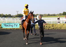 Biffa Waste Services Nov H'cap Hurdle (Div 2)