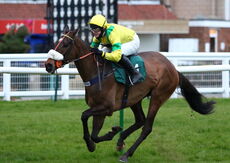 Kyntara (David Bass)