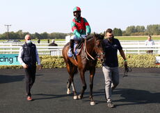 racingtv.com H'cap Chase