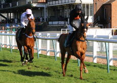 Warwick 26 February 2021