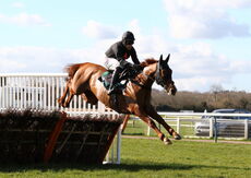 South West Syndicate Juvenile Hurdle