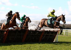 South West Syndicate Juvenile Hurdle